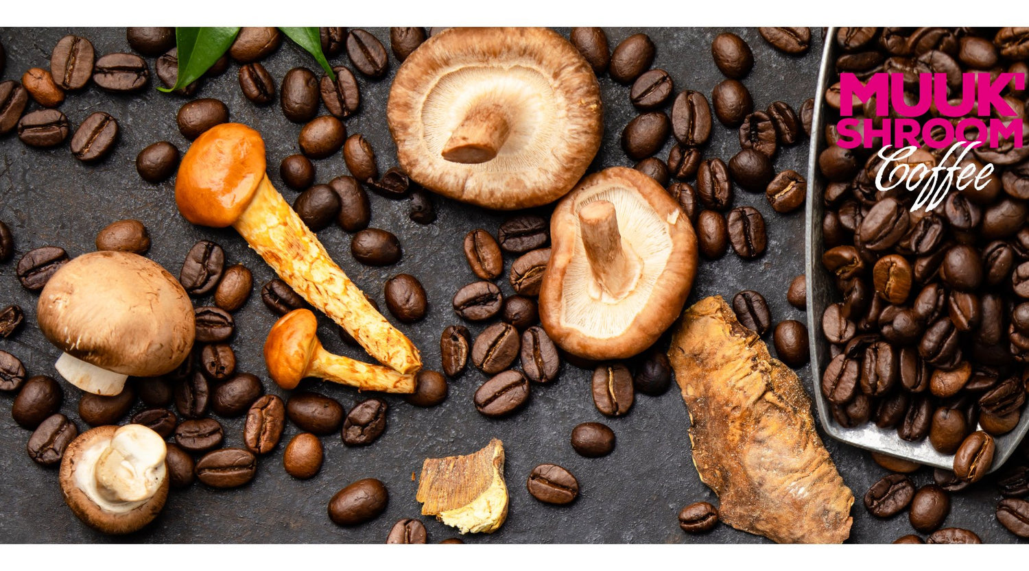 Sip Your Way to Wellness: The Buzz on Mushroom Coffee - MUUK' SUPERFOODS